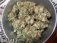 DSCF2425