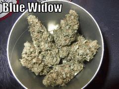 DSCF2453