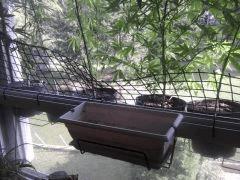 2011 09 01 10.42.25