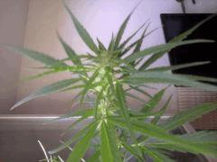 2011 09 01 10.47.48