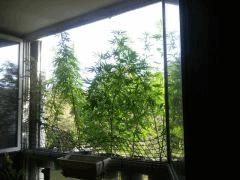 2011 09 01 10.41.21