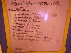 Photo0260
