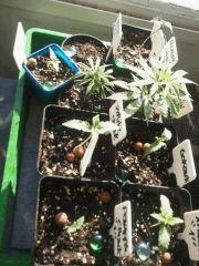 Photo0110
