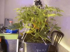 Photo0203
