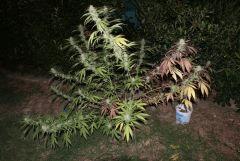 DSC03434