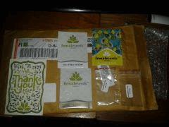 commande Female Seeds