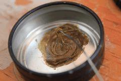 IMG 4917