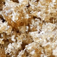 Ice Creamolator 73µ