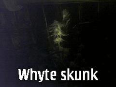 whyte skunk