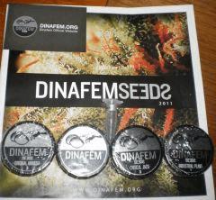 dinafem