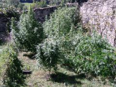 IMAG0039