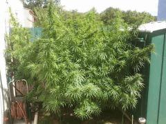 2011 09 08 13.42.41