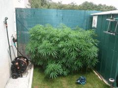 2011 07 12 15.23.30