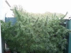 2011 09 13 19.25.37