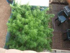 2011 09 02 17.59.33