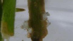 P1030115