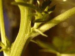 P1030160