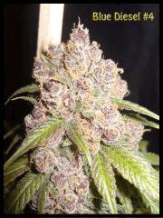 blue diesel