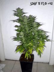 DSCN3838