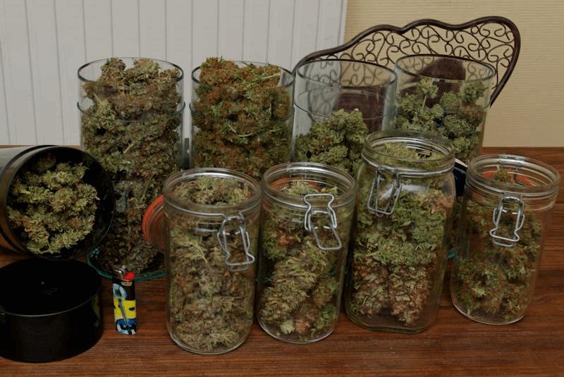 Kush Stories