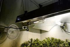 Super HPS monte en régime
