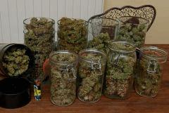 Kush Stories