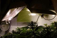 Super HPS 250 Ou HPS 400, kicé qui gagne ...