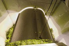 Flo39