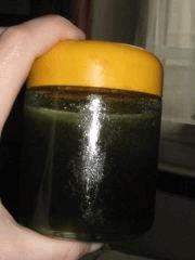 potion weed 005