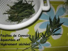 Mes recettes 003