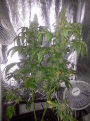 Photo0066