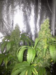 Photo0067