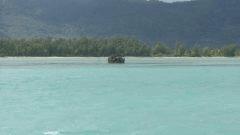 le Bénitier (corail)