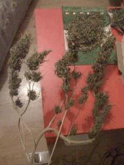 Mise En boite (0)