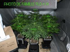 FAMILLE