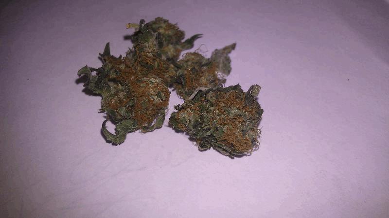 kush album