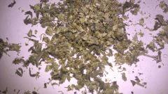 IMAG0030