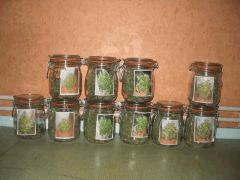 cannabis secher2