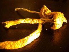 GoldenTeachers