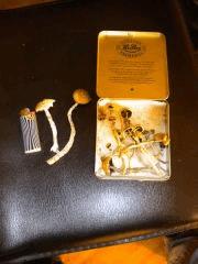 GoldenTeachers