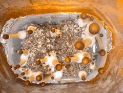 2eme Flush  +2
