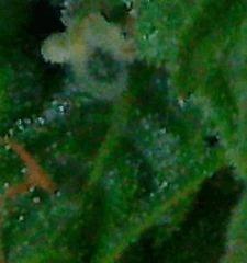 Photo0013