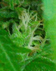Photo0021