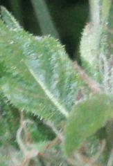 Photo0049