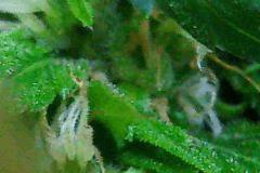Photo0022