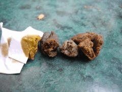 TriHash