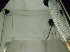 PICT0065