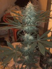Photo0973