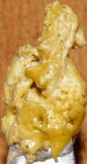 Bho
