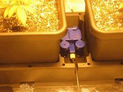 auto Pot X2